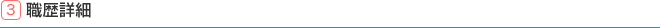 3.職歴詳細